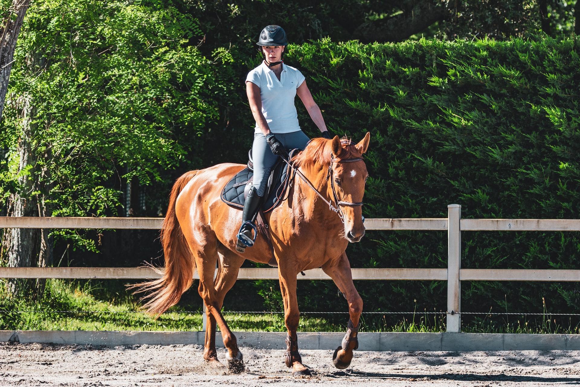 5 reasons why you should try horse riding!